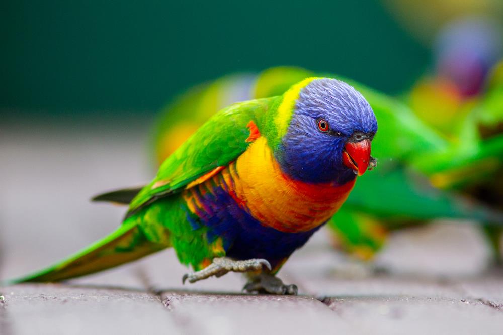 Vaš datum rođenja krije tajnu: Evo koji ste tip ličnosti