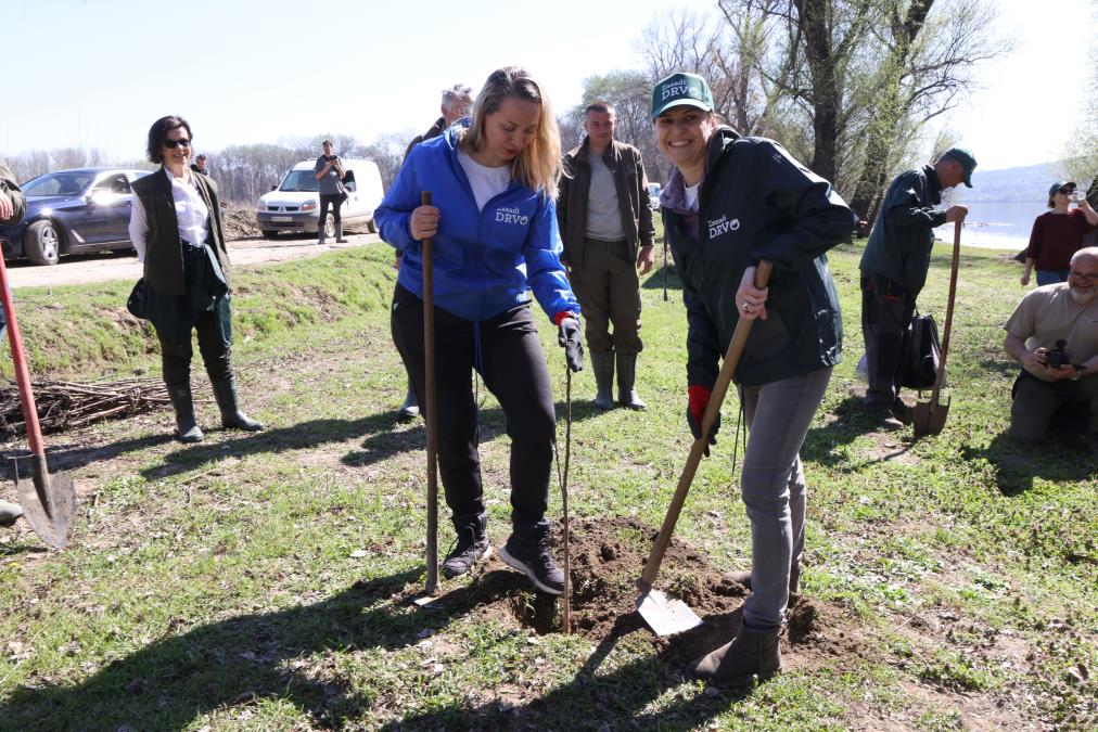 Projekat „Zasadi drvo“ premašio 1.200.000 posađenih sadnica u Srbiji