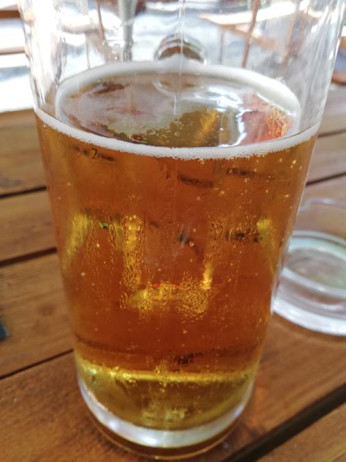 Da li pivo stvarno uklanja kamen iz bubrega: Nefrolog napokon otkrio istinu i nikome se ne sviđa