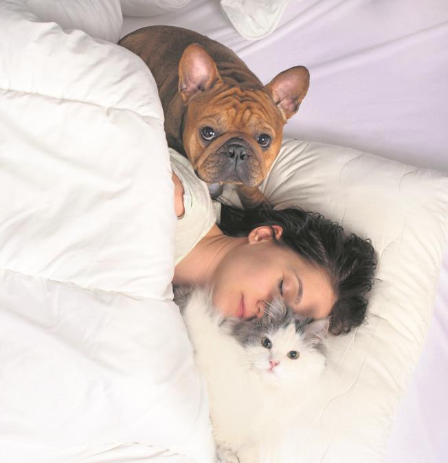 3 velika razloga zašto NIKAD ne biste smeli da spavate sa kućnim ljubimcem