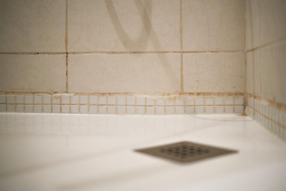 Evo kako najlakše da očistite prljavštinu sa belih fugni između pločica: Uz ovaj savet keramičara najbolje ćete ih izbeliti