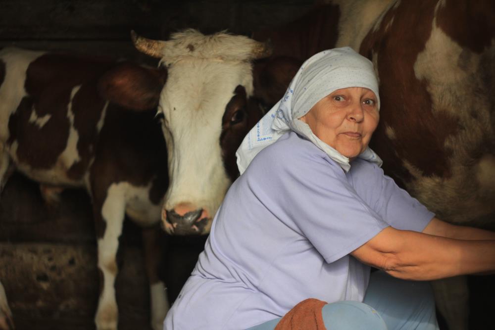 Stana je prodala jedinu kravu da komšijin sin Milan ode na studije: Selo ju je zvalo ludom, a posle 10 godina desilo se nešto neočekivano ispred njene straćare