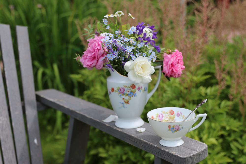 Ne bacajte stare šolje: U njima baštensko cveće izgleda kao mala čarolija