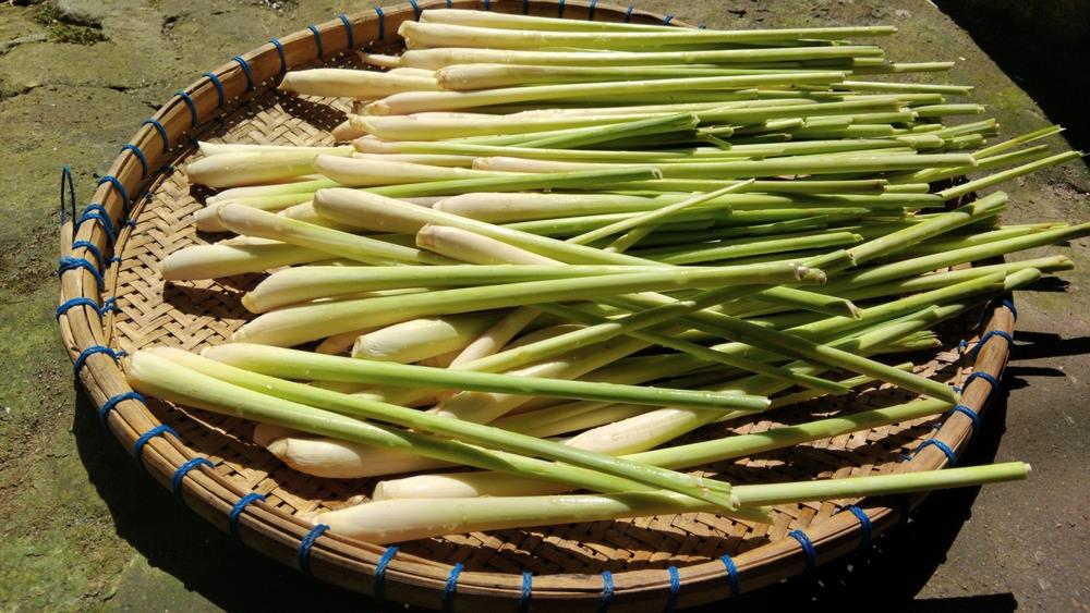 Podseća na luk, a ima miris i ukus limuna: Najbolje raste u mešavini baštenske zemlje i peska