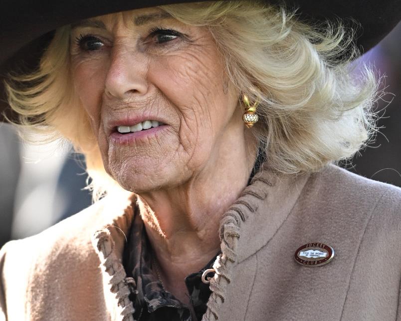 Svi bruje o novim obrvama kraljice Kamile koje su je koštale 1.700 evra: Ali niko ne spominje šta je još sve radila na sebi