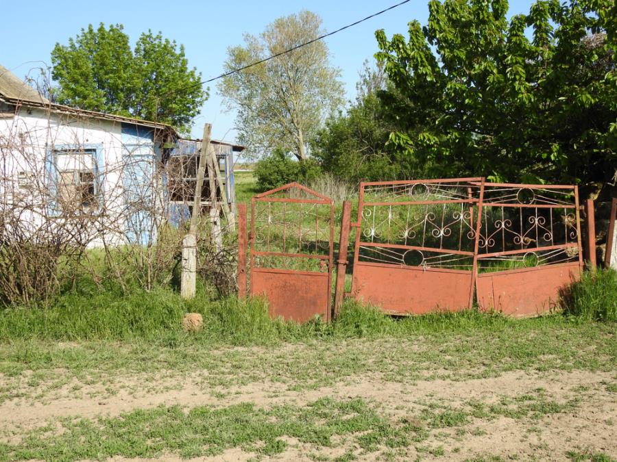 10 grešaka u održavanju dvorišta koje odmah kvare prvi utisak o kući: Odaju lošu sliku o vlasniku