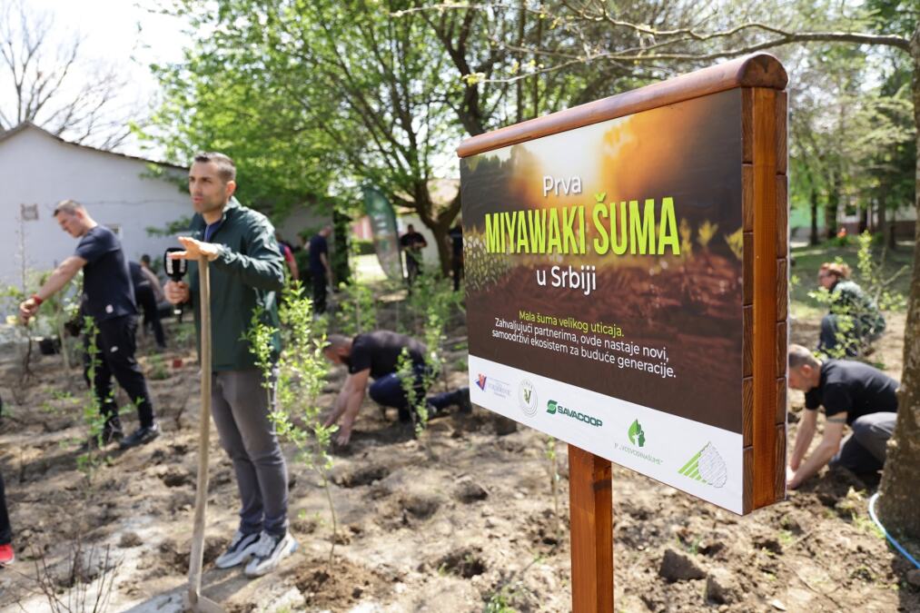 PRVI MIYAWAKI ZASAD U SRBIJI REALIZOVAN U ALEKSANDROVU U OKVIRU PROJEKTA “ZASADI DRVO”