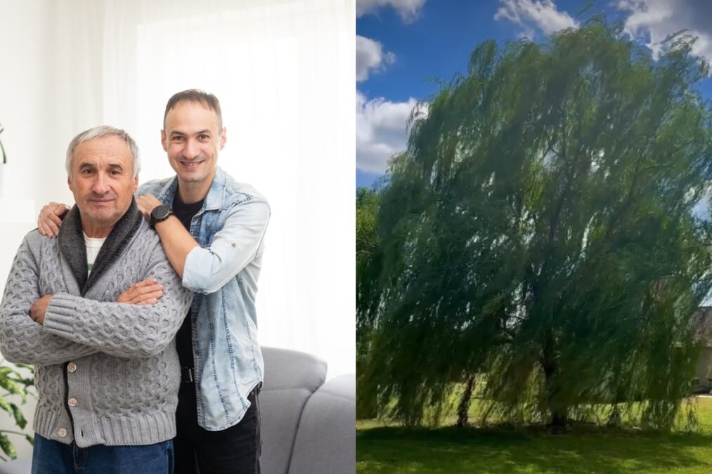 Kad mi je umro deda koji me je odgajio ostavio mi je samo 1 pismo: Tražio je da kopam ispod žalosne vrbe u dvorištu - ono što sam tamo našao menja mi je život