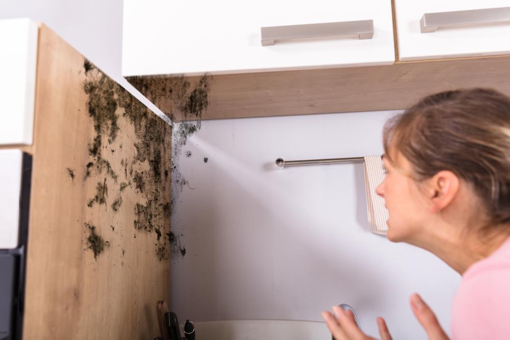 2 namirnice koje svako ima u svojoj kuhinji spas su za vlagu i buđ: A kuća će vam mirisati kao najlepši osveživač vazduha