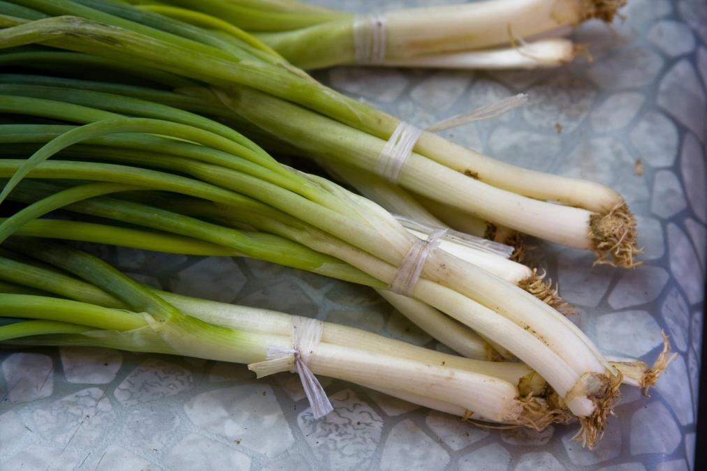 5 razloga zašto svaki dan treba jesti mladi luk