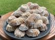 silvanas-kitchen--sape-koje-uvjek-uspjevaju-delicious-walnut-cookies-8gbu9p8tiok--1180x664--0m00s.jpg