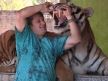 tigar3.jpg