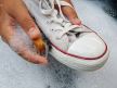 shutterstock-599401772.jpg