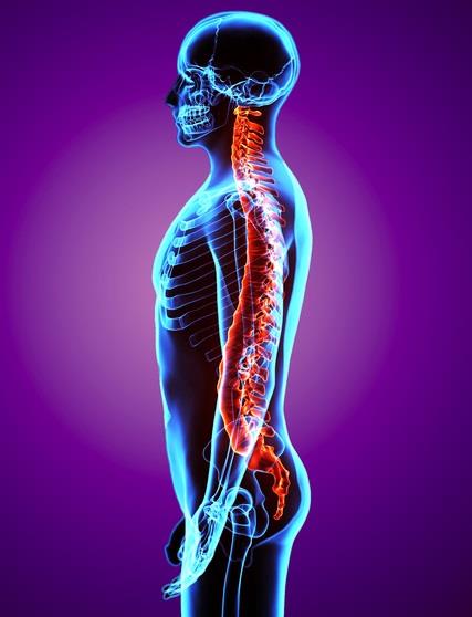 shutterstock-556260013-1.jpg