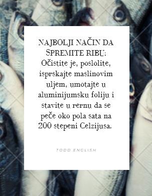 stil-riba.jpg