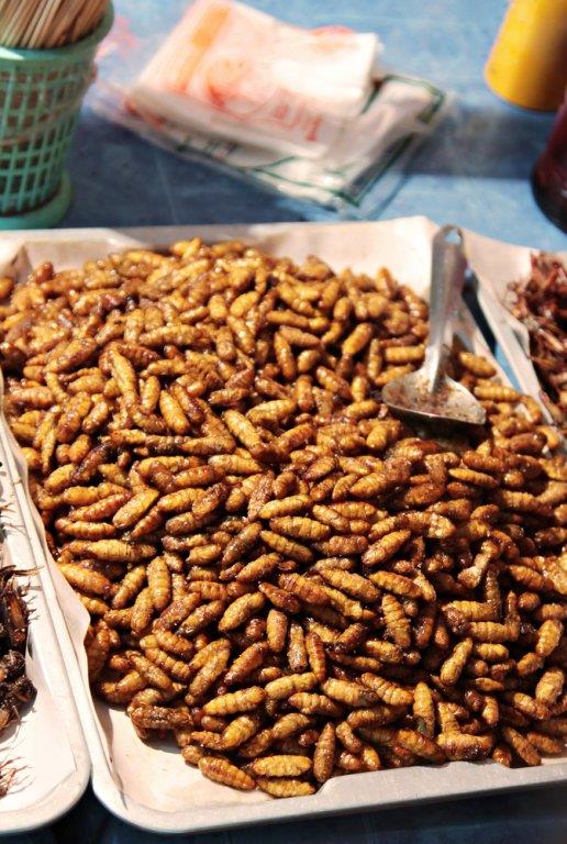 insekti-na-tanjiru.jpg