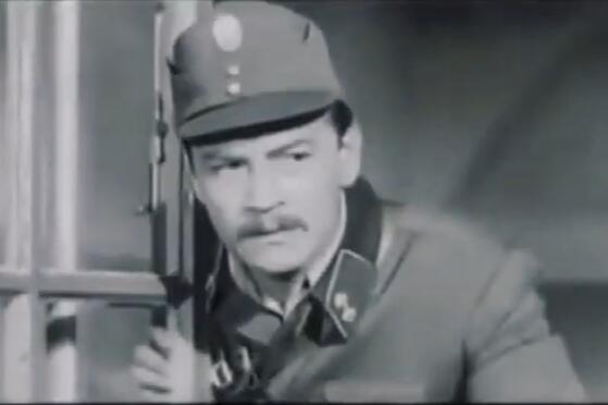 aleksandargavric.jpg