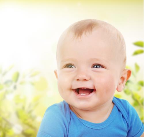 shutterstock-256924687.jpg
