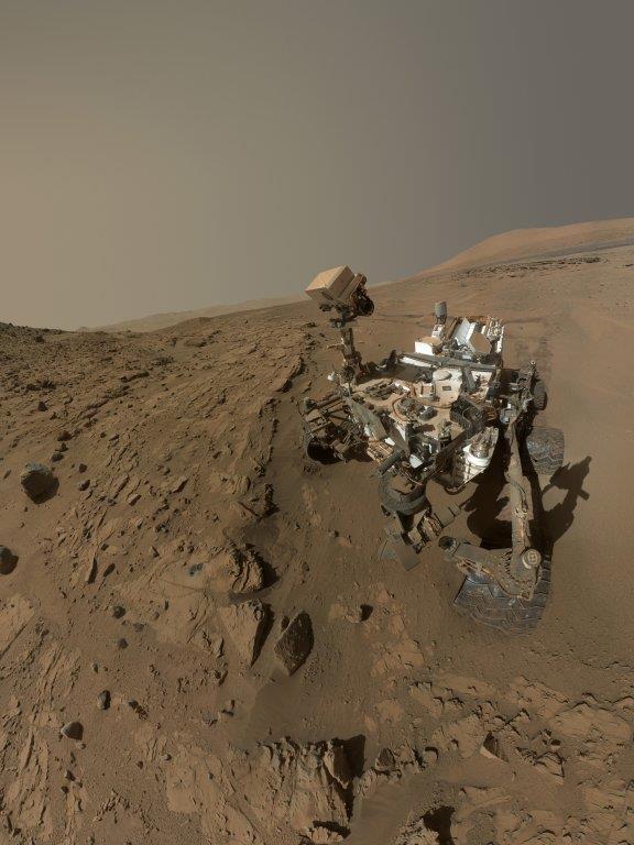 selfi-kjuriozitija.jpg