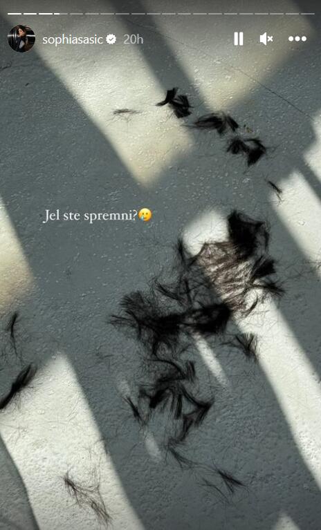 sofija-sasic.jpg