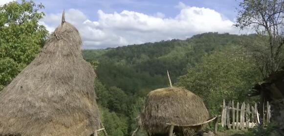 gorstak2.jpg