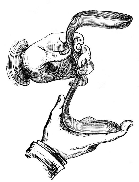 sims.speculum.jpg