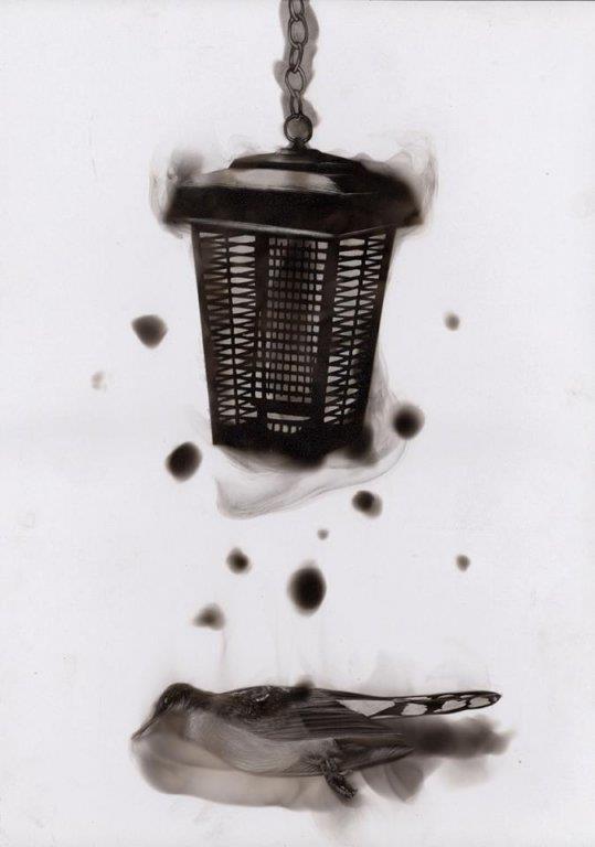 crtezi-stivena-spazuka.jpg