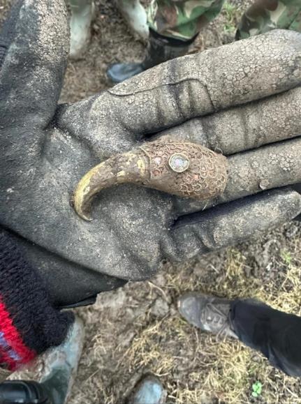 Čovek pronašao blago detektorom za metal