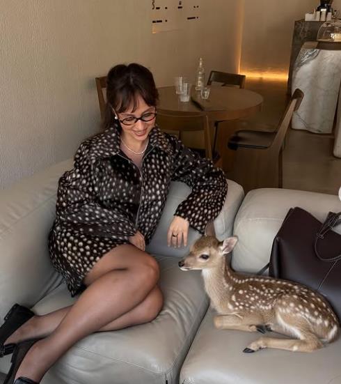 bambi.print1.png