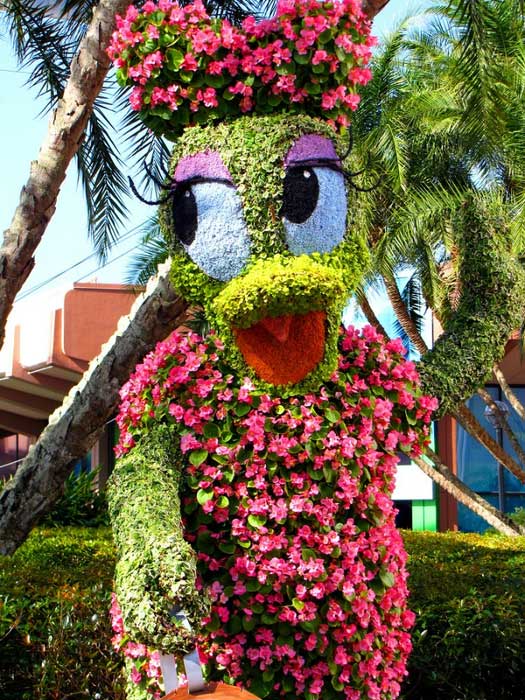 disney-garden.jpg