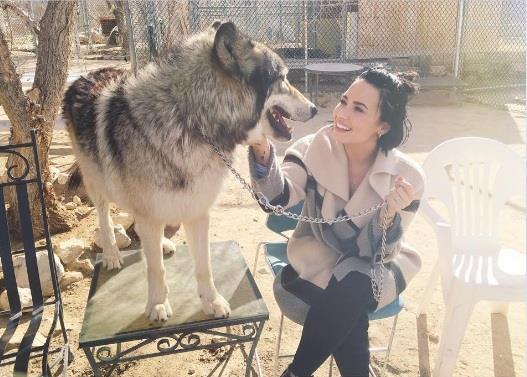 demi-lovato.jpg