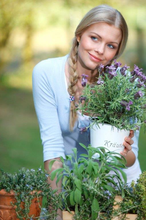 lavanda-profimedia.jpg