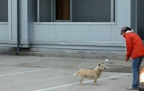 screenshot-6.jpg