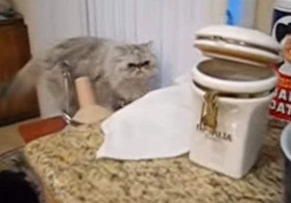 screenshot-1.jpg