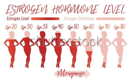stockvectorestrogenhormonelevelbeautifulmedicalvectorillustrationinpinkcoloursscientific1038612187.jpg