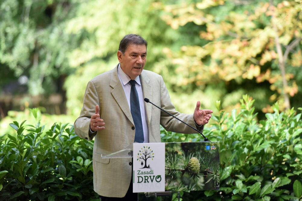 3191379-ivicaradovic-ff.jpg