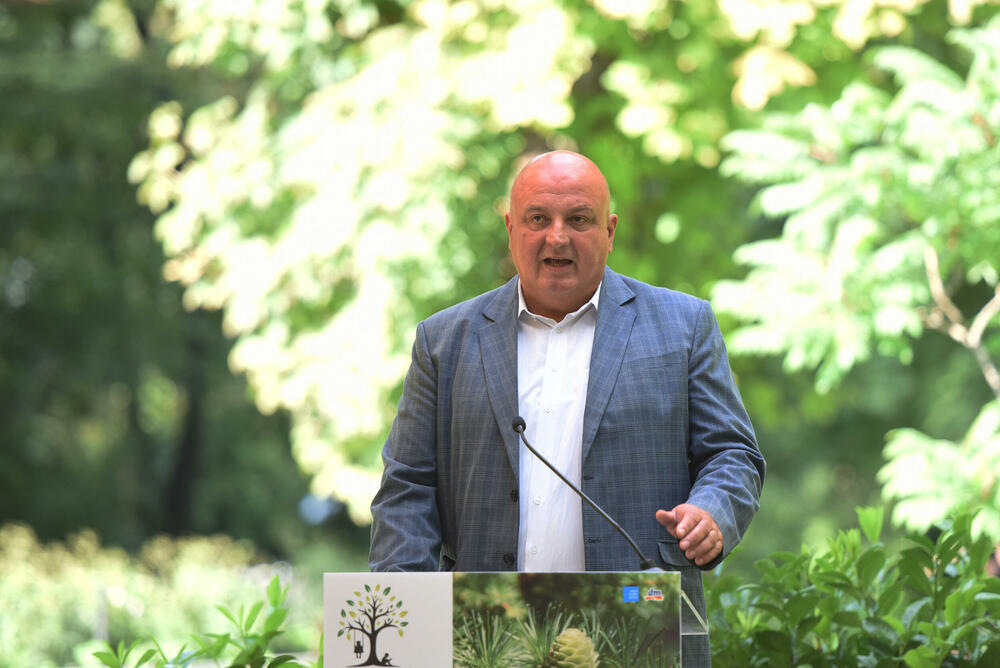 3191385-velimirstanojevic-ff.jpg