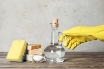 shutterstock-1230472243.jpg