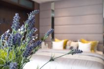 lavanda-shutter.jpg