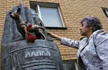 laika-2.jpg
