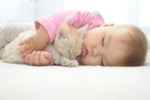 shutterstock-221307421.jpg