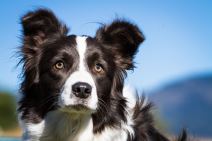 shutterstock-114032167.jpg