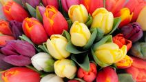 shutterstock-1673844967.jpg