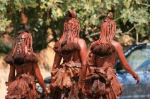 plemehimba-2.jpg