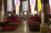 tibetanskihoroskop1.jpg