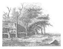 shutterstock-1962033046.jpg