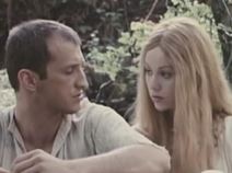 344049-leptirica-ff.jpg