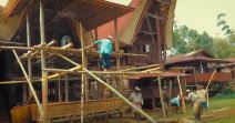 plemetoraja15.jpg