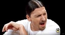 zlatanibrahimovic.jpg