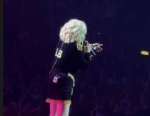 lepabrena.jpg